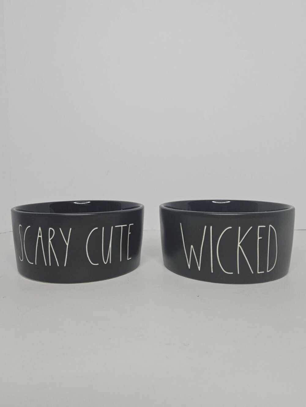 Rae Dunn Artisan Collection Dog Cat Food Water Bowls Set